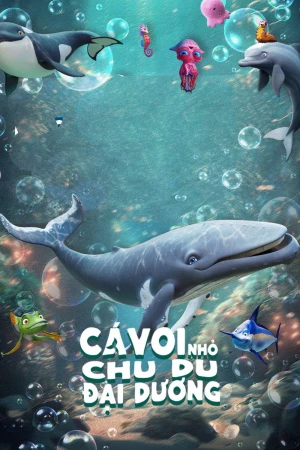 Cá Voi Nhỏ Chu Du Đại Dương - The Last Whale Singer