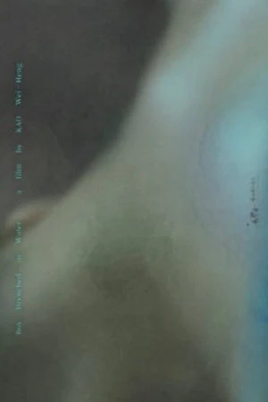 Đêm hè ẩm ướt - Boy Drenched in Water