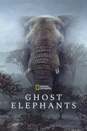 Ghost Elephants - Ghost Elephants