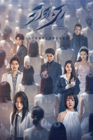 Lông Vũ Hoá Đao - Feathers Are Knives