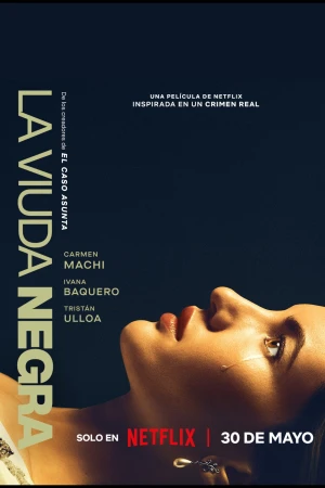 Trò Chơi Của Một Góa Phụ - A Widow's Game